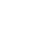Webisdom