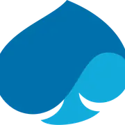 Capgemini India
