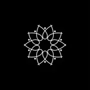 IRISSTAR Technologies